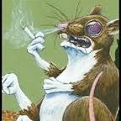 Rato da Visas