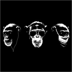 Matteo “X C E D” Barbassa