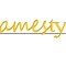amesty