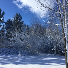 Orange Explosions (Incomplete)