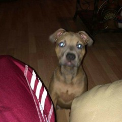 THE HAND THAT FEEDS YOU FINAL