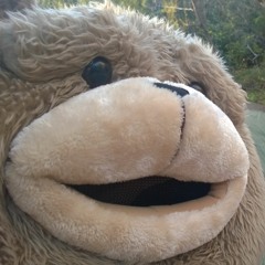 heisenbear
