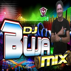 ARROCHA SERTANEJO INTERNACIONAL  DJBUJAMIX