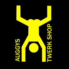 AuggysTwerkShop