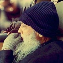 Hassan Elrifay