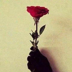 user900606232
