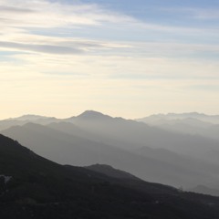 t y r a n a s a u r u s