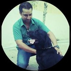 Muhammad Amir