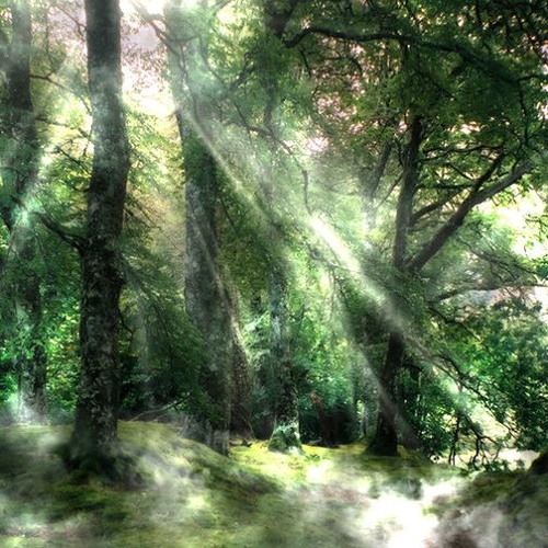 Stream Zauberbiest Music Listen To Songs Albums Playlists For Free On Soundcloud