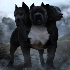 Don aka Mr.Armagedon