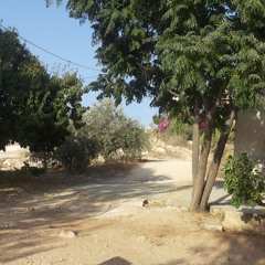 Mohammad Rz Alzabad