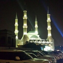 Mohd A