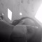 WhyNot_Ali