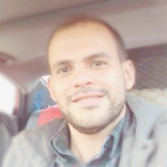 Mohamed Elfakhrany