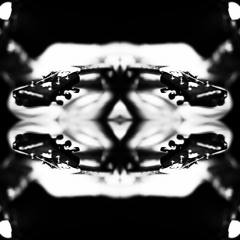 MARSHALL HOUSE PROJECT