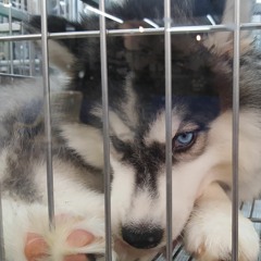 恋におちたら - 松下奈緒