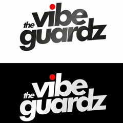 The Vibeguardz