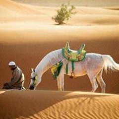Fatma Zaki