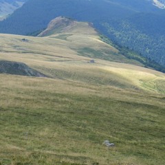 Bourrée à trois temps