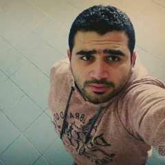Ahmed Adel Zeid
