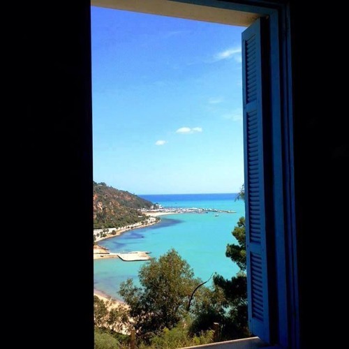 Martin Garrix - Lionhearted Vs. Backlash