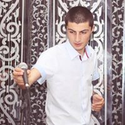 Zako Gogijanashvili’s avatar