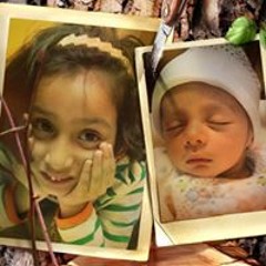 Toqir Arif
