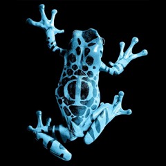 Frog Record