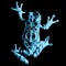 Frog Record