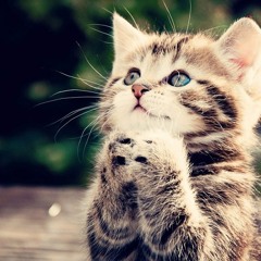 بسملة بسملة