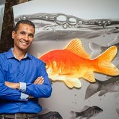 طارق الخضرى