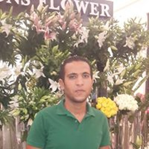محمد رضا’s avatar