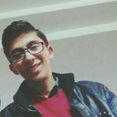 Mina Ibrahem Habashy