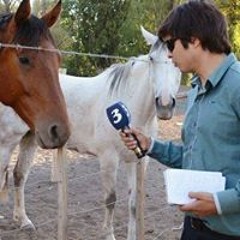 Lentes Negros Broadcasting Radio