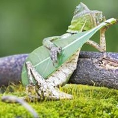 Isai Hernández Legaspi