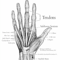 Tendons
