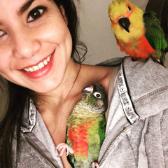 Maria-Elena Solorzano