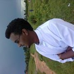 Ahmed Bash