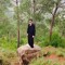 Wasim Wassi