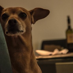 Jennifer Kate Rombouts