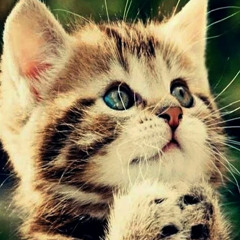 nya