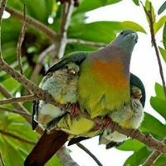 العشرى حسان