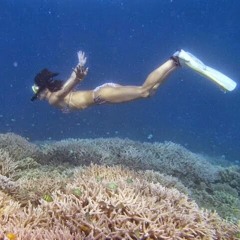 千里小林 S Stream 千里小林 S Stream