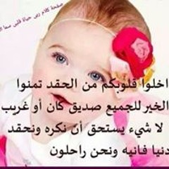 Moshera Rose