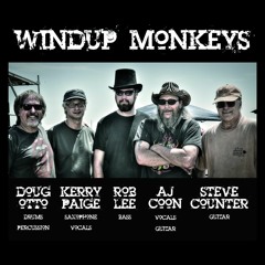 Windup Monkeys