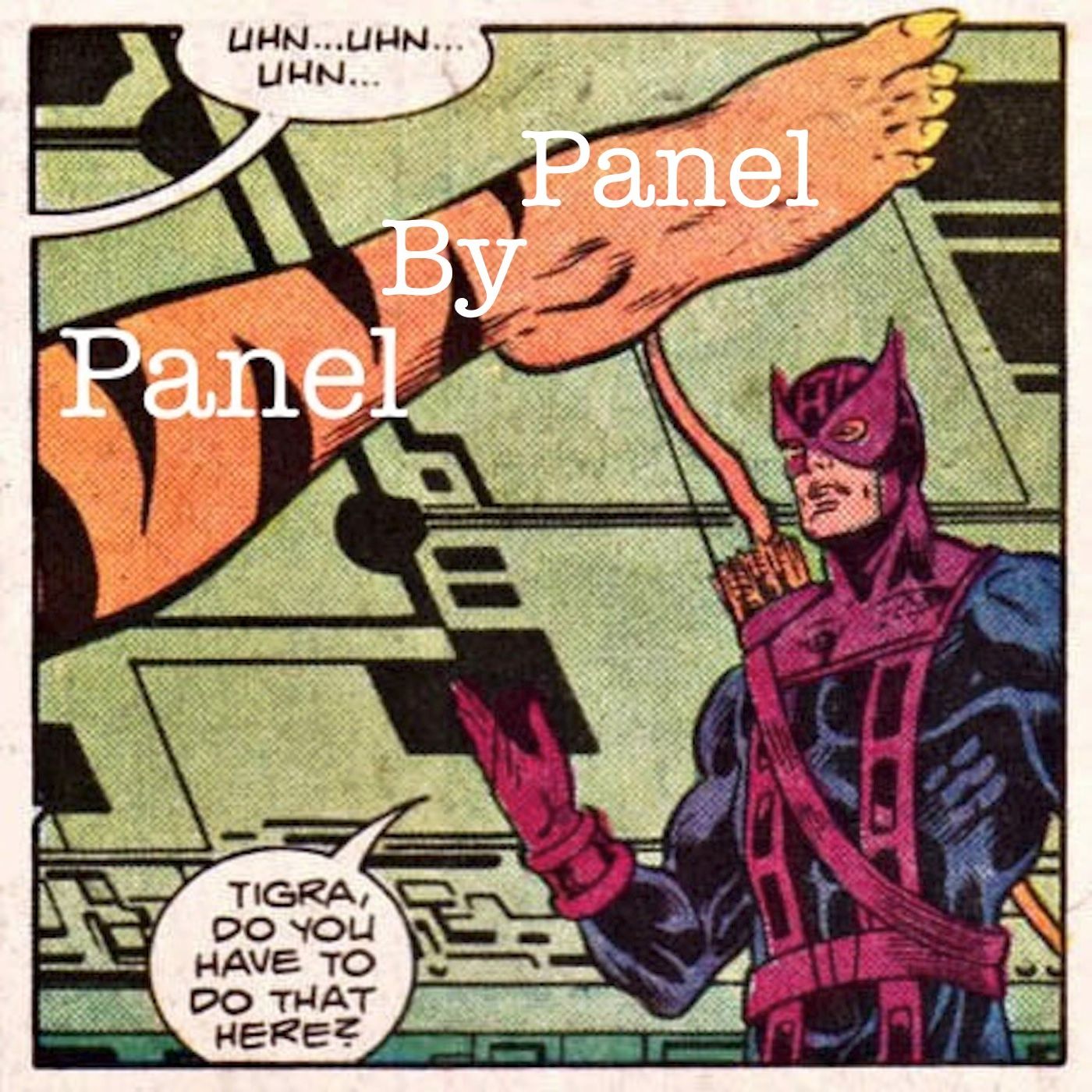 PanelByPanel