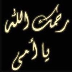محمد عصام الدين