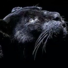 Depeche Mode - Just Can't Get Enough