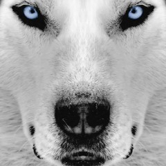 أغنيةمسلسلlacasadepapelمترجمةCeciliaKrullMylifeisgoingonlyrics 2