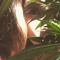 trippinindaiseys
